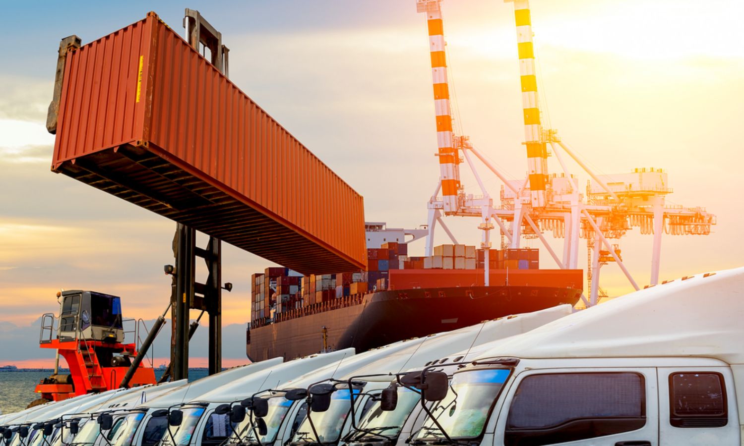 Vietnam – Asian đồng hành cùng doanh nghiệp xuất khẩu, tối ưu chi phí và đảm bảo thông quan nhanh chóng.