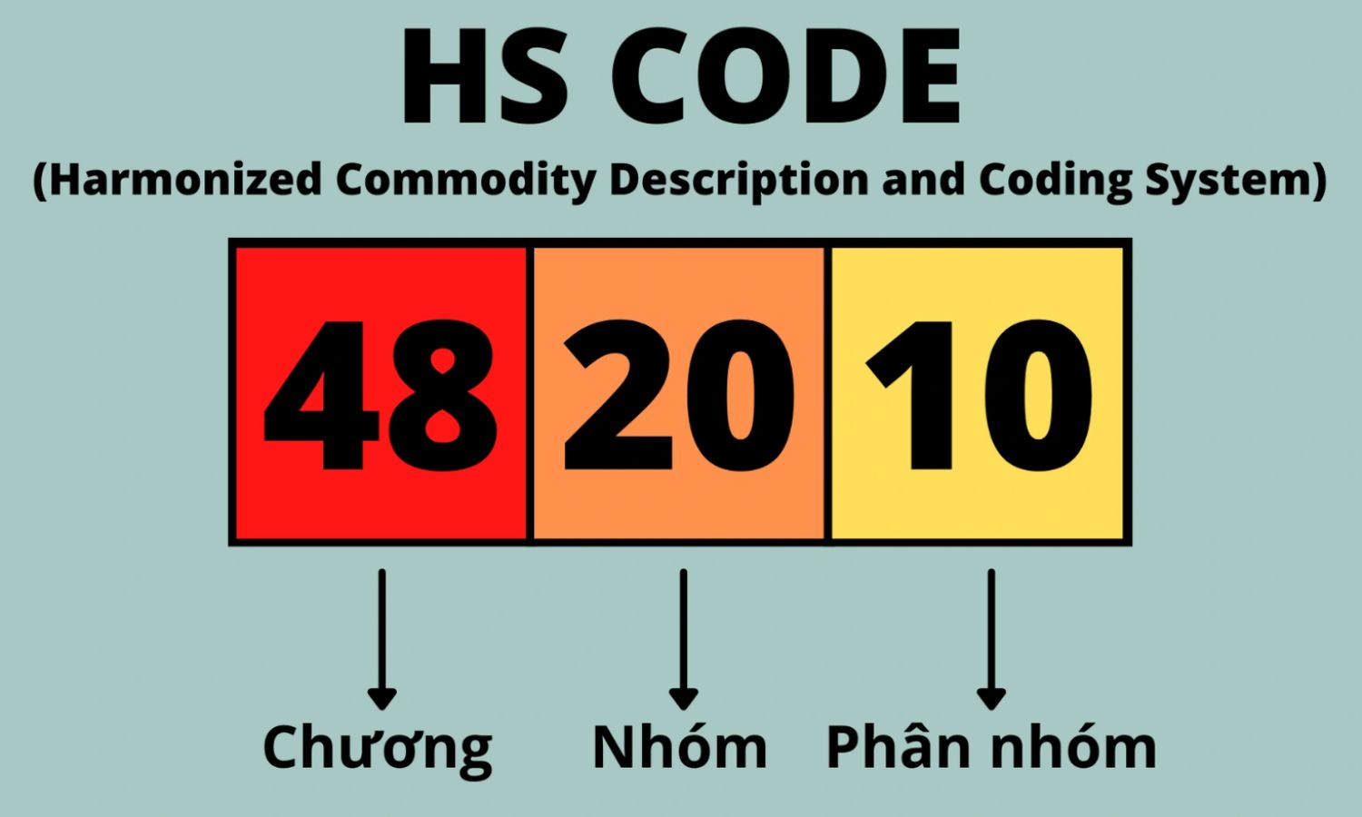 Tra cứu mã HS code chính xác – Chìa khóa thông quan suôn sẻ cho mọi lô hàng.
