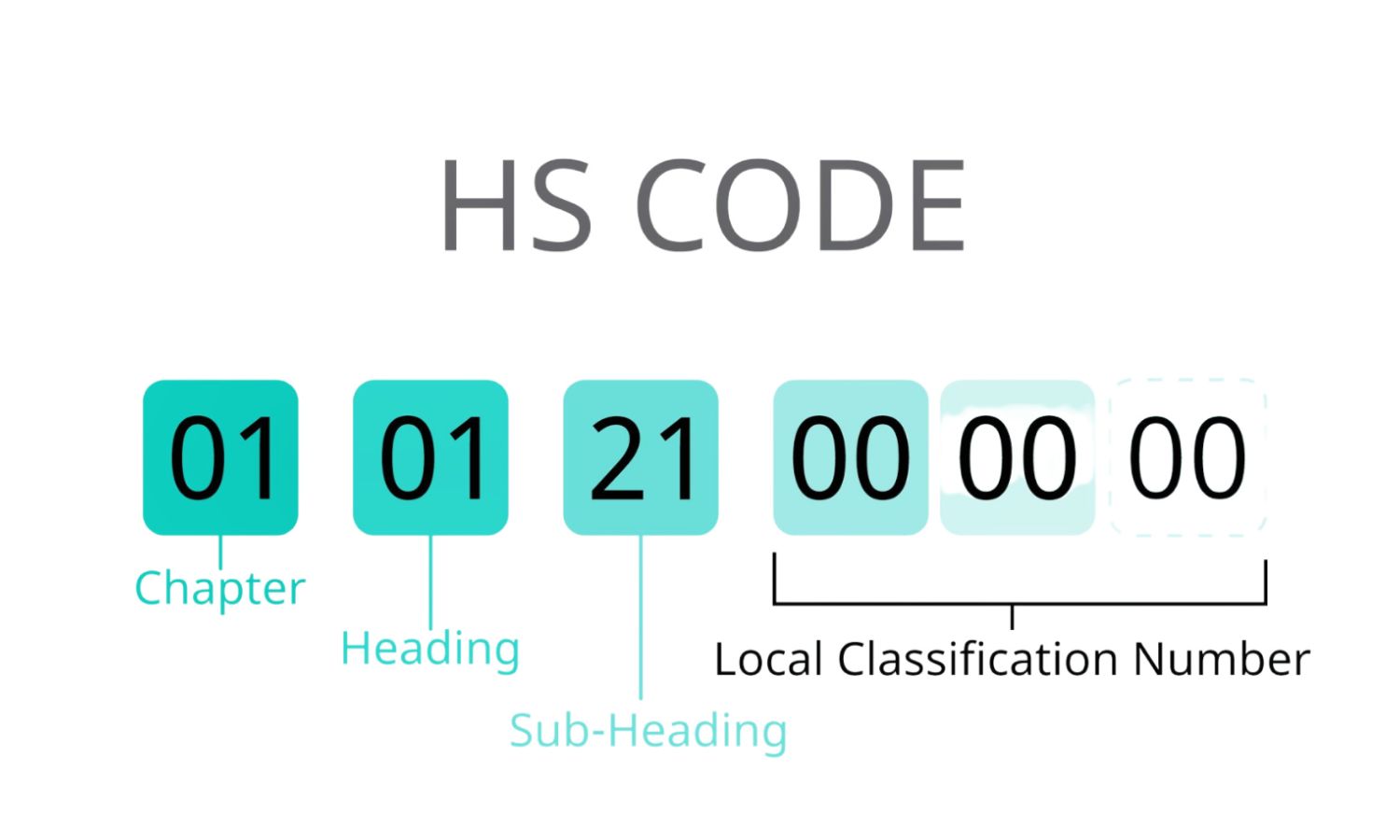 Tra cứu mã HS code chính xác 2025
