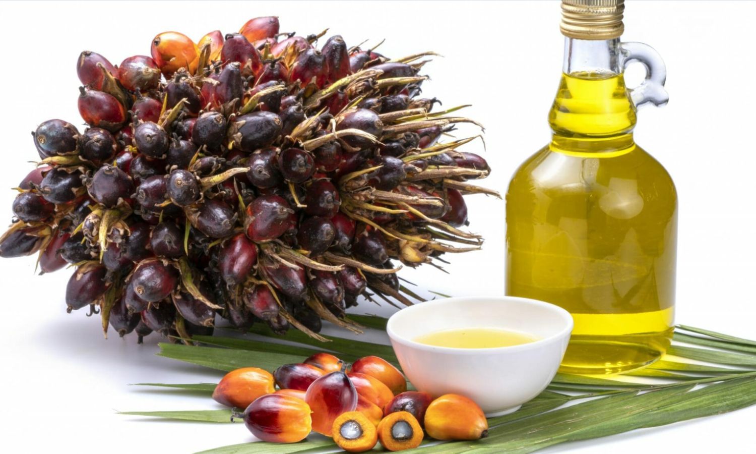 Nhập khẩu dầu cọ