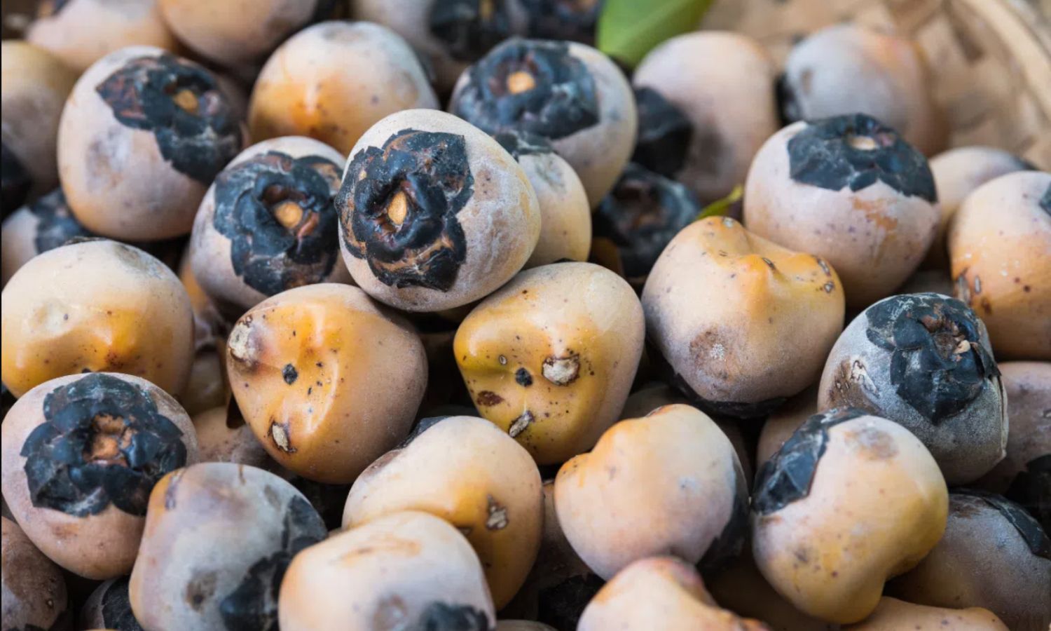 Nhập khẩu hạt đác