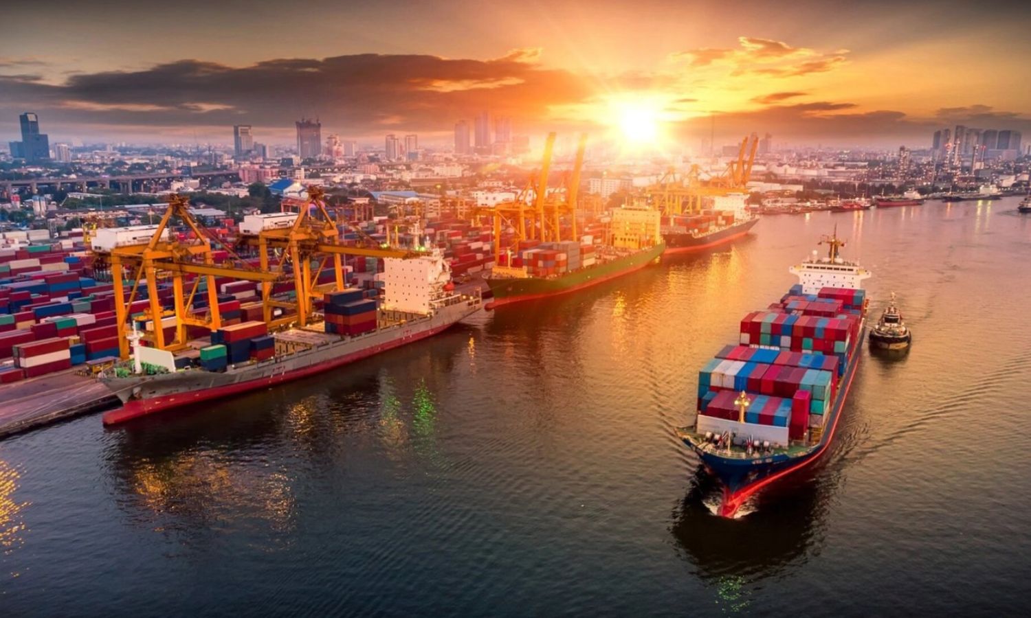 Vietnam – Asian tối ưu hóa toàn bộ quy trình thủ tục XNK nội địa cho doanh nghiệp.