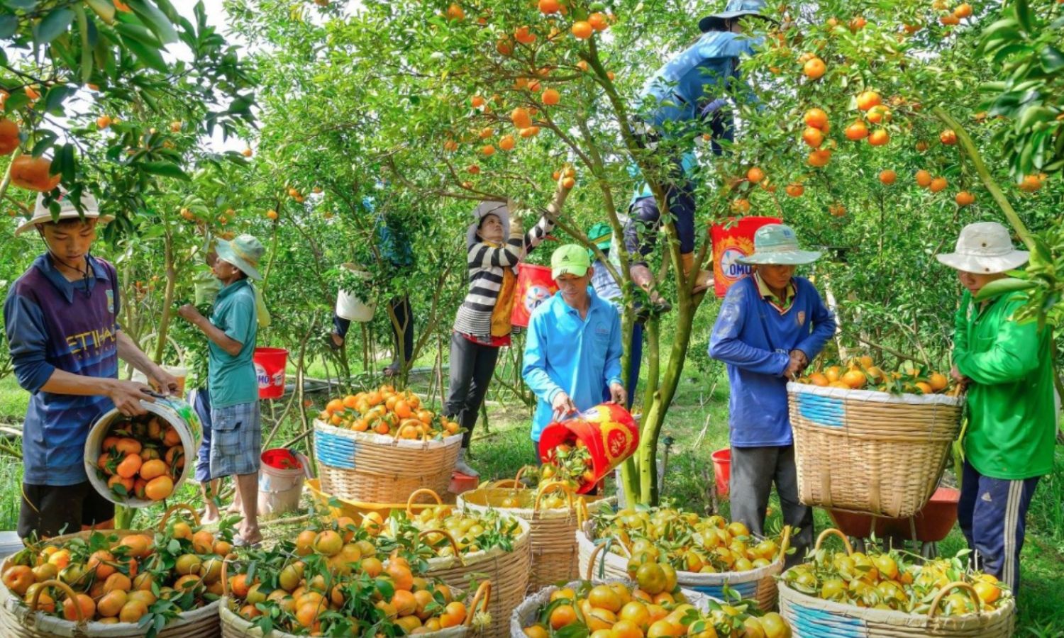 Đàm phán giá trị thực – tối ưu tổng chi phí sở hữu, không chỉ giá mua.