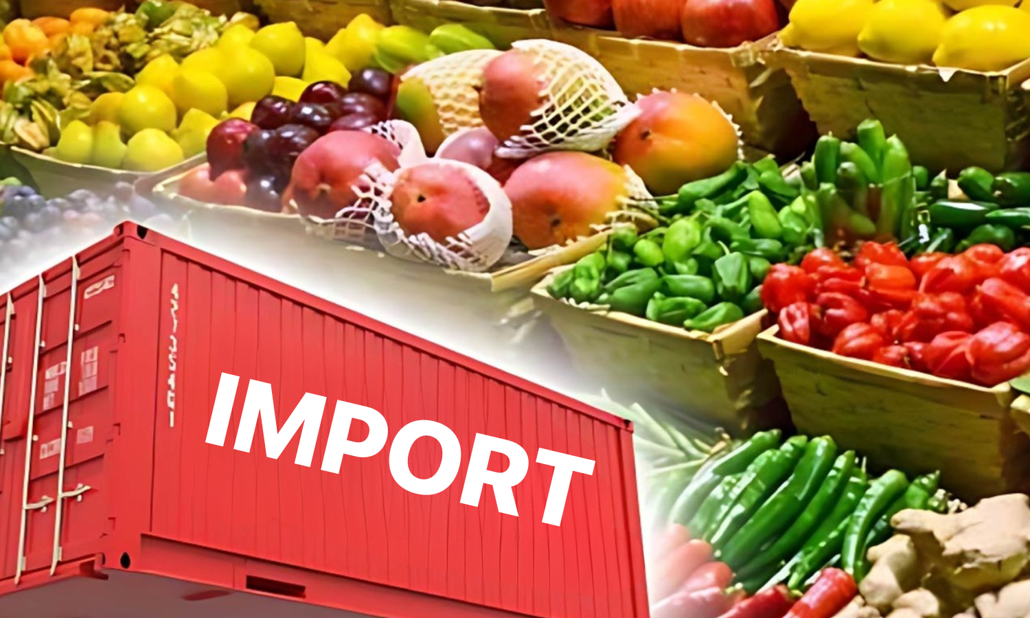 Tìm nhà cung cấp nông sản nhập khẩu